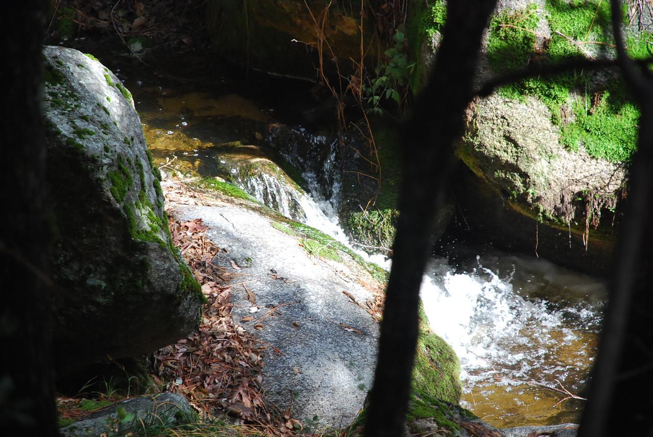Sierra Trails Inn Mariposa Ngoại thất bức ảnh